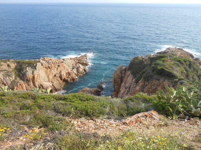 DSCN3262